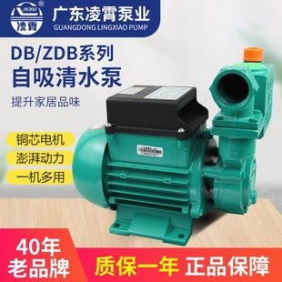 凌霄水泵1DZB 65抽水机自来水井水抽水220V自吸清水增压泵