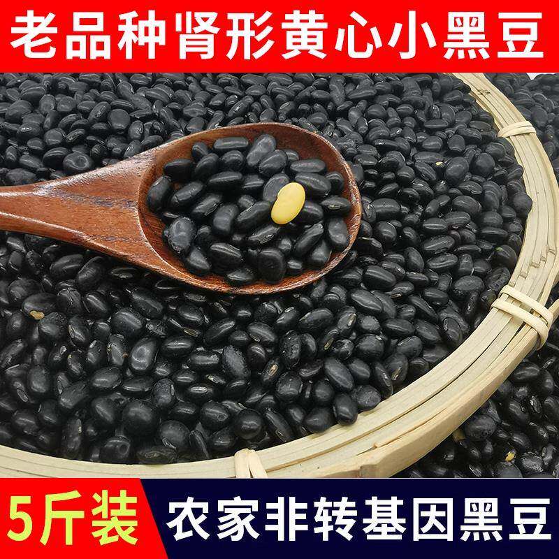 老品种山西肾型黄心小黑豆当季生豆芽打豆浆专用黄芯腰型药用黑豆
