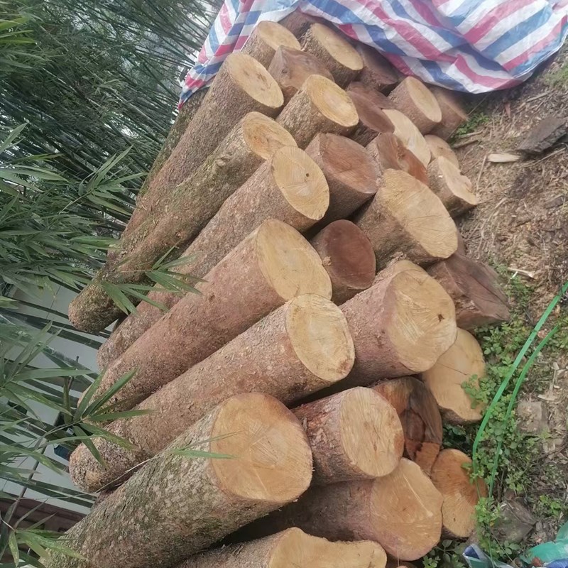 小叶桢楠木料金丝楠木满金丝雕刻diy木料木雕木头笔筒料横财料