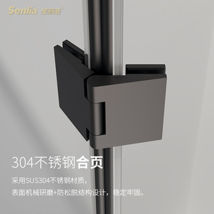 圣莉亚房定制玻璃门砖石型间浴室拉门平门