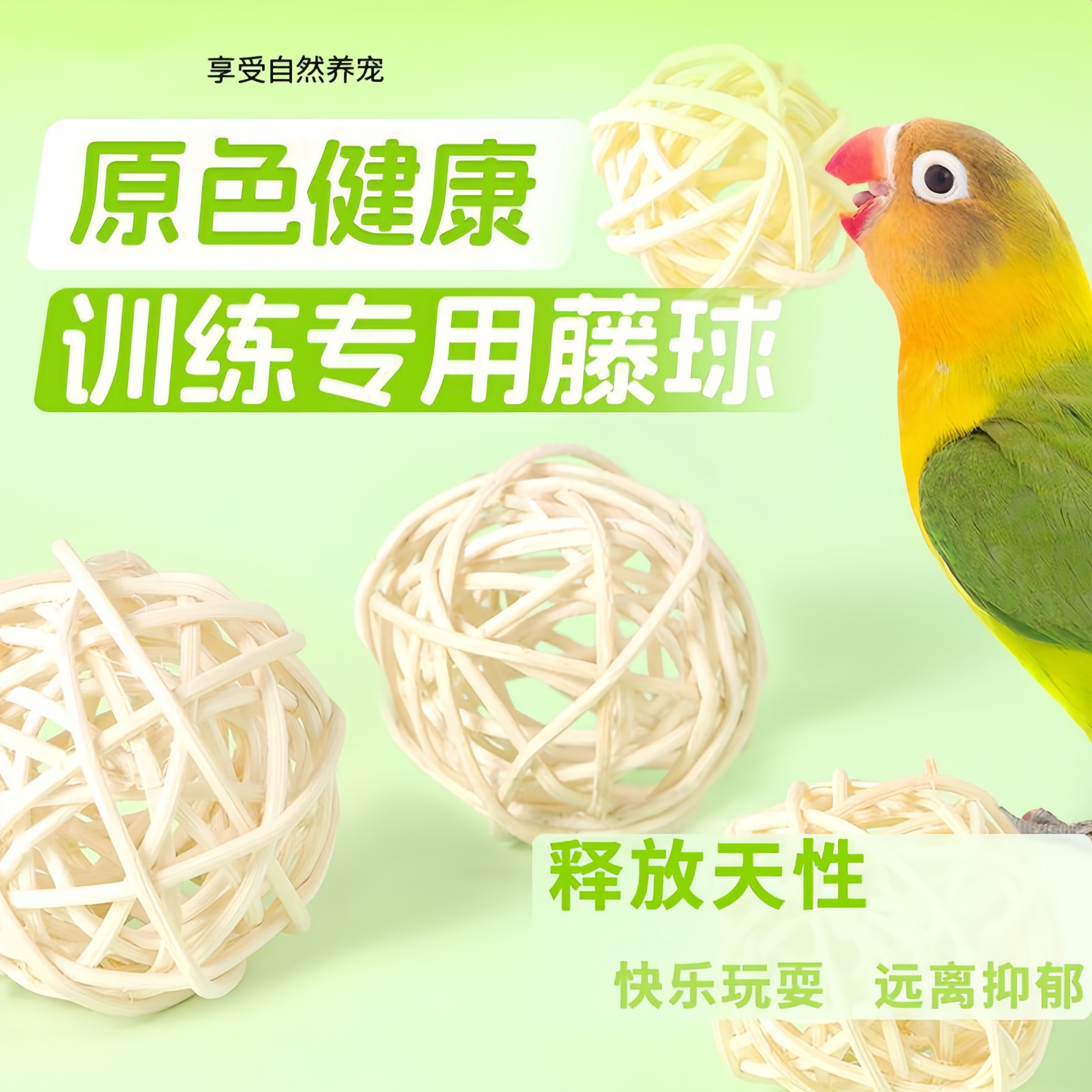 鹦鹉藤球啃咬玩耍玩具