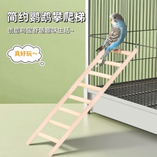 鹦鹉鸟用玩具用品秋千吊环云梯爬梯虎皮牡丹玄凤啃咬攀爬鸟笼梯子