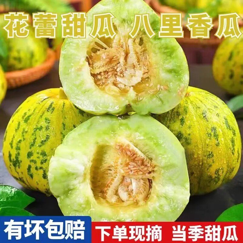新八里香头茬甜瓜脆甜多汁花美人薄皮甜瓜鲜甜应季水果批发花蕾瓜