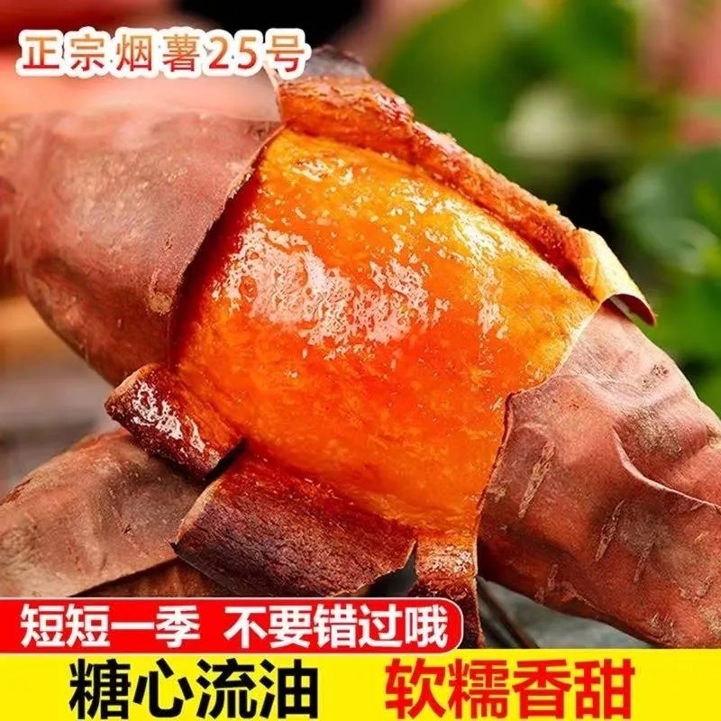 烟薯25蜜薯糖心红薯康平甜心流油地瓜新鲜农家沙地山芋烤番薯粗粮