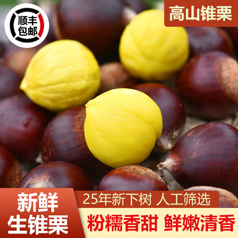 【顺丰包邮】建瓯特产板栗生新鲜高山锥栗油栗毛栗子圆栗农家现摘