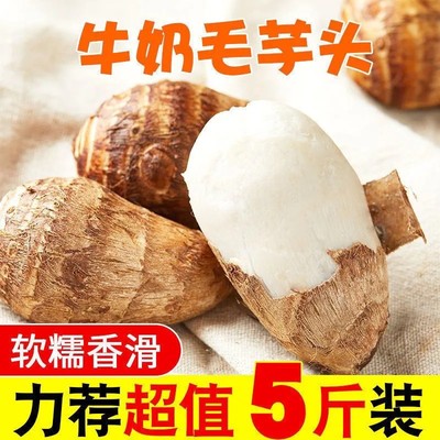 现挖新鲜牛奶小芋头毛芋头香芋应季蔬菜农家芋头芋艿粉糯整箱包邮