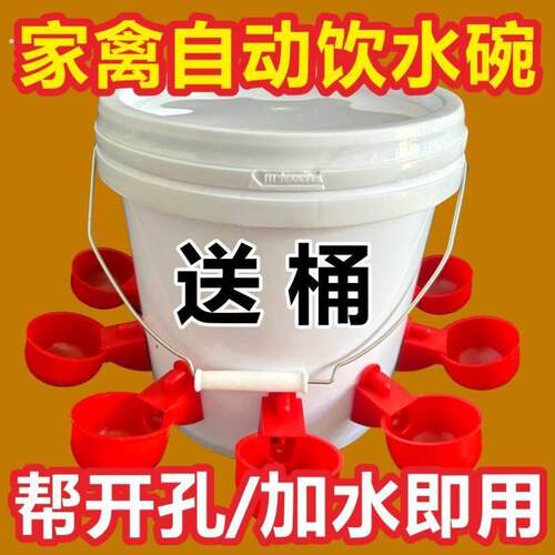 家禽饮水器全自动新款喂鸡自动饮水器鸡鸭鸽子饮水碗养殖水桶