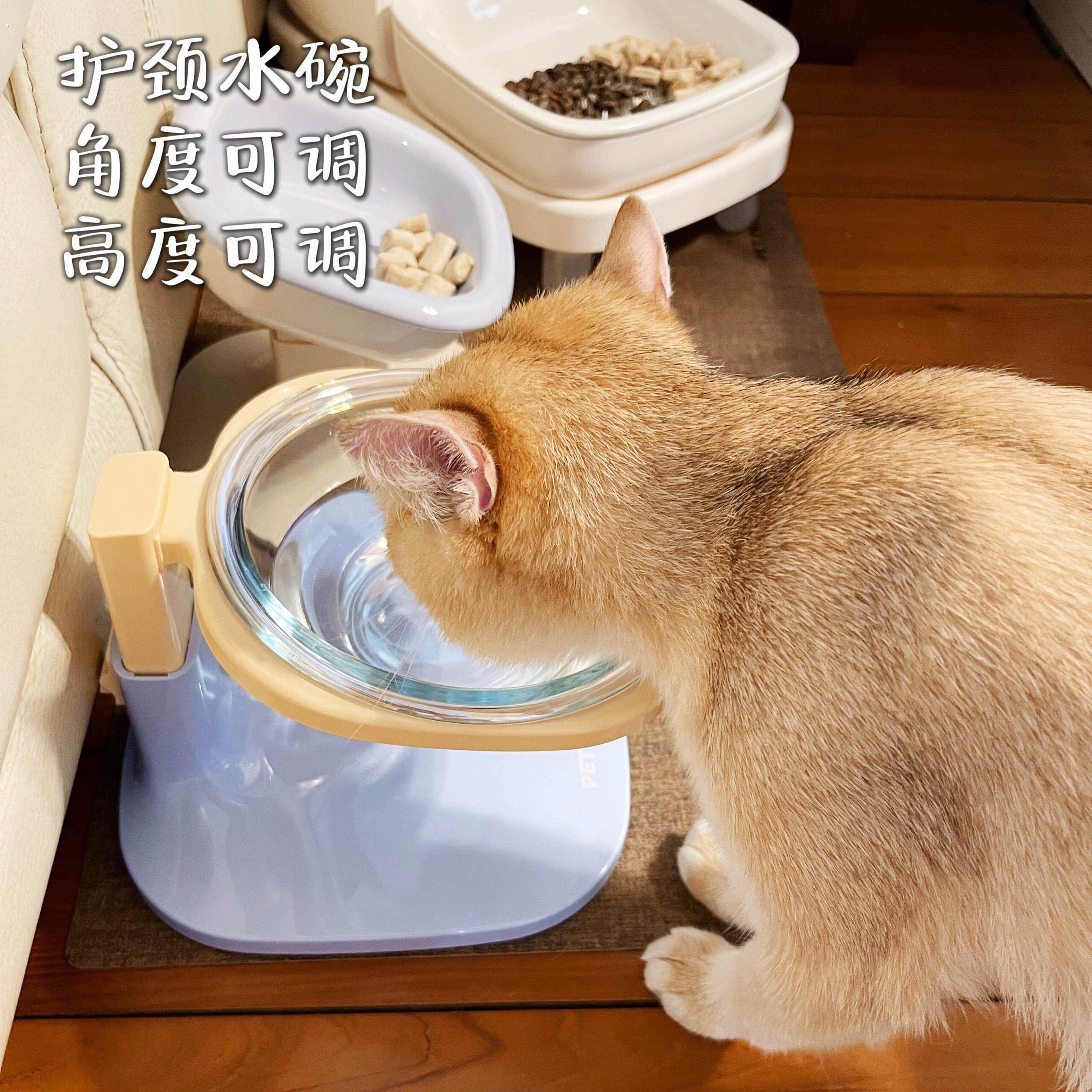 斜口可调节护颈猫碗防打翻透明宠物玻璃水碗加宽防黑下巴猫咪粮碗