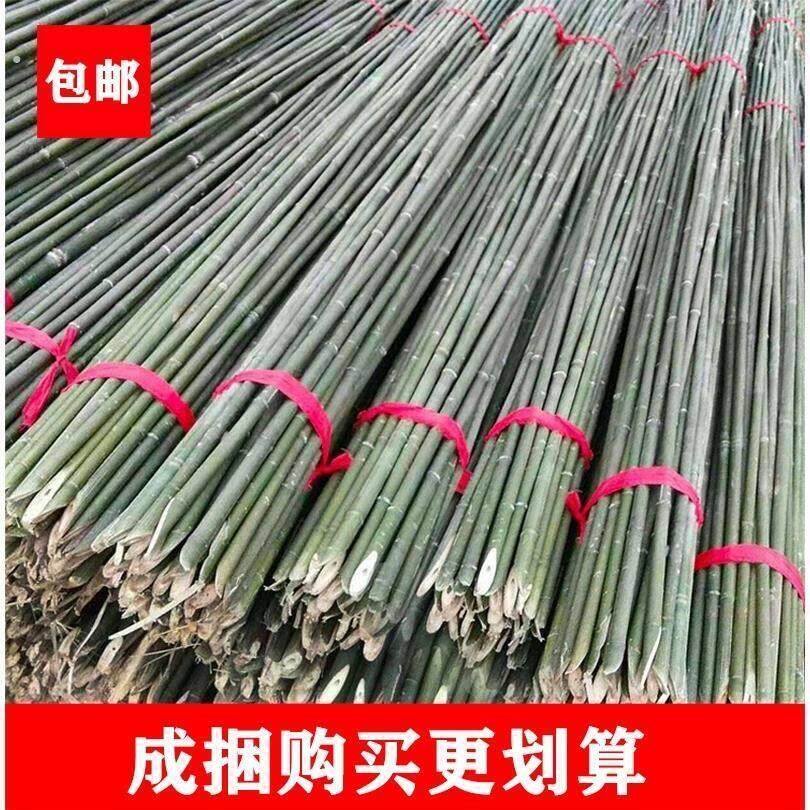 小竹子细竹竿小竹竿蔬菜爬藤竹杆架种菜园搭架豆角架篱笆栅栏彩旗