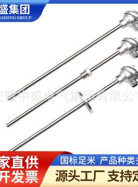耐磨热电偶WRN-333NM 0-1300℃φ20*800mmK型