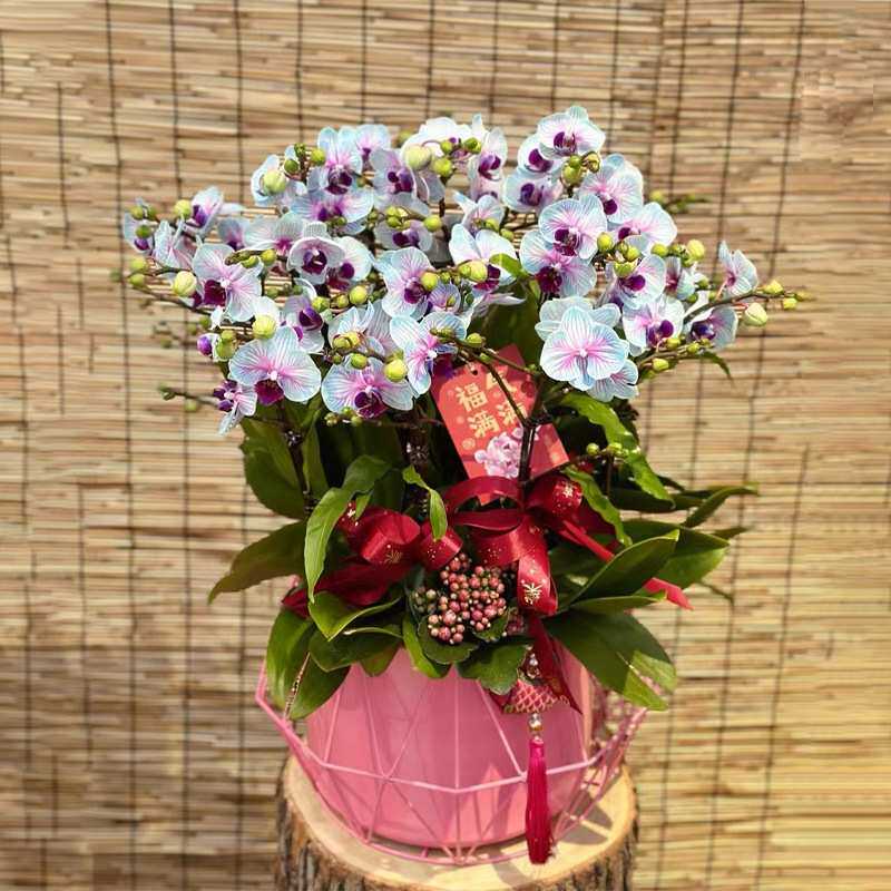 菱形轻奢蝴蝶兰花盆银柳冬青假花年宵花福桶插花摆件聚宝盆金属花