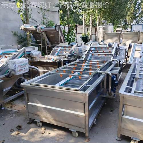 菜加工全自动蔬菜高 压喷淋清洗机净蒜商苗BWK用不锈钢洗菜机 蒜