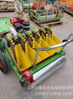 多功能大YL-BZJ蒜播机 手四轮牵引蒜播种机 推式柴油大蒜大精播点