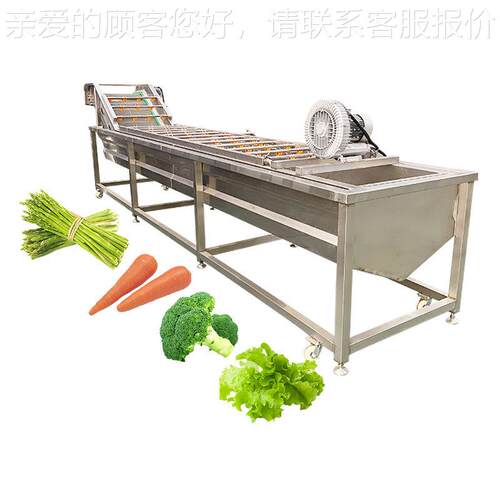 自气泡ZLW翻浪连水果清洗机全动续式橙子清 洗机