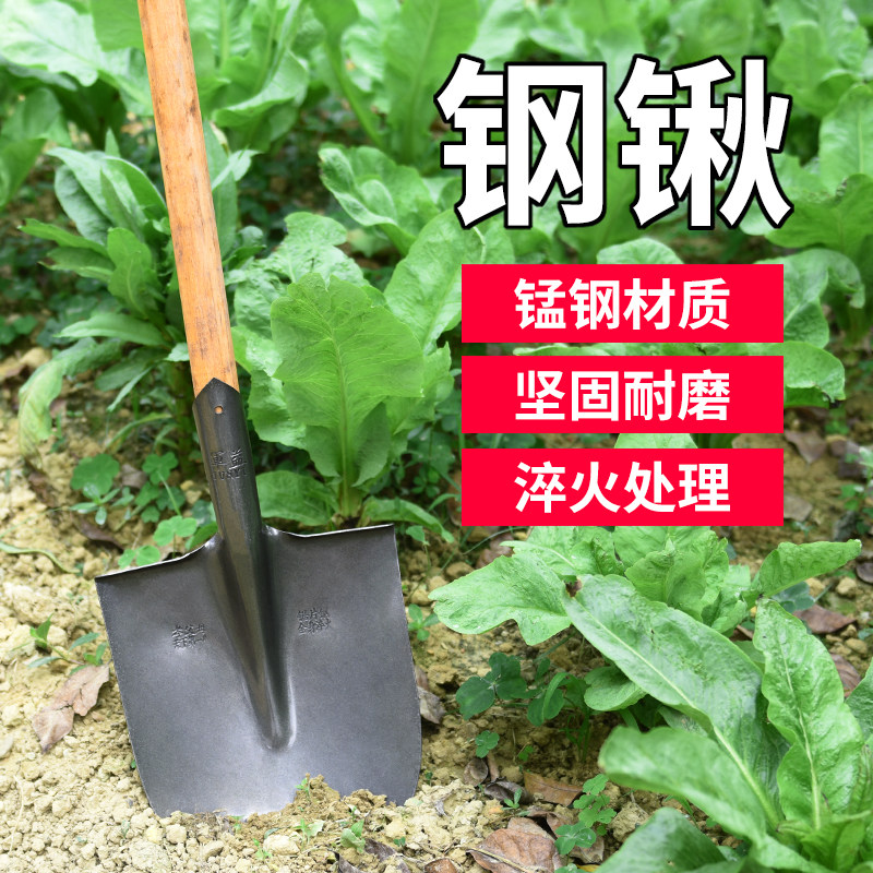 户外军印农用大锹铁铲多功能兵工铲锰钢锹铁锹钢锹铲园林园艺工具,鲜花速递/花卉仿真/绿植园艺,铲子,淘宝优惠券,粉丝福利购,淘宝优惠卷