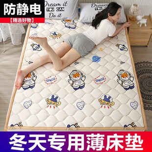 可机洗加绒床垫软垫家用薄款 冬季 垫被褥H子加厚床护垫防滑固定垫
