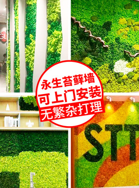 永生苔藓片仿真驯鹿苔藓植物前台装饰墙DIY微景观支持上面安装