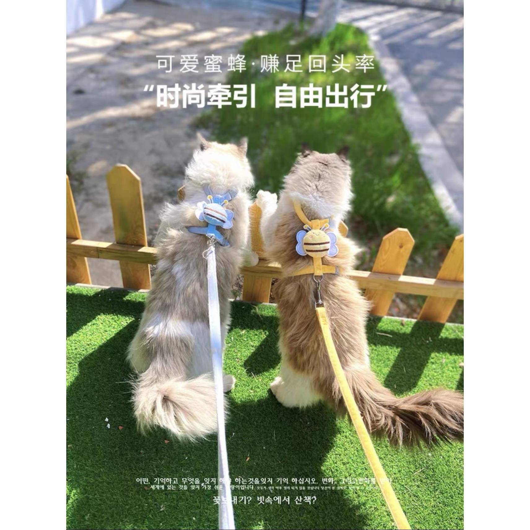 猫咪牵引绳防挣脱遛猫绳可调节猫链子遛狗绳拴猫绳宠物外出用品