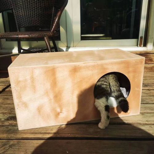 流浪猫户外窝室外防雨木质抗寒冬B季猫屋防寒冬天保暖实木箱子过