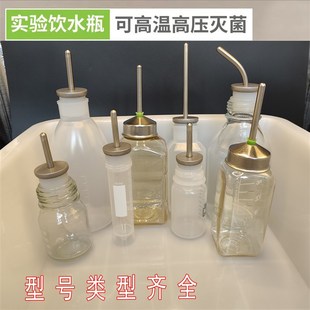 小鼠实验水壶水瓶小白鼠饮水器实验室大鼠花枝鼠水壶可高温可开票