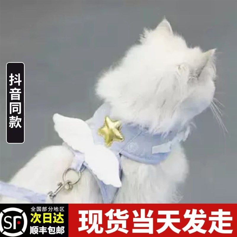 天使翅膀猫咪牵引绳背心式牵引带狗狗幼猫外出牵引防挣脱宠物用品,宠物/宠物食品及用品,猫牵引绳,淘宝优惠券,粉丝福利购,淘宝优惠卷