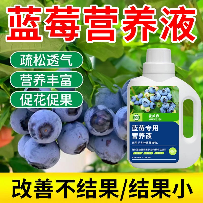 蓝莓专用肥料营养液家用果树盆栽有机肥增甜膨果水溶肥植物通用型