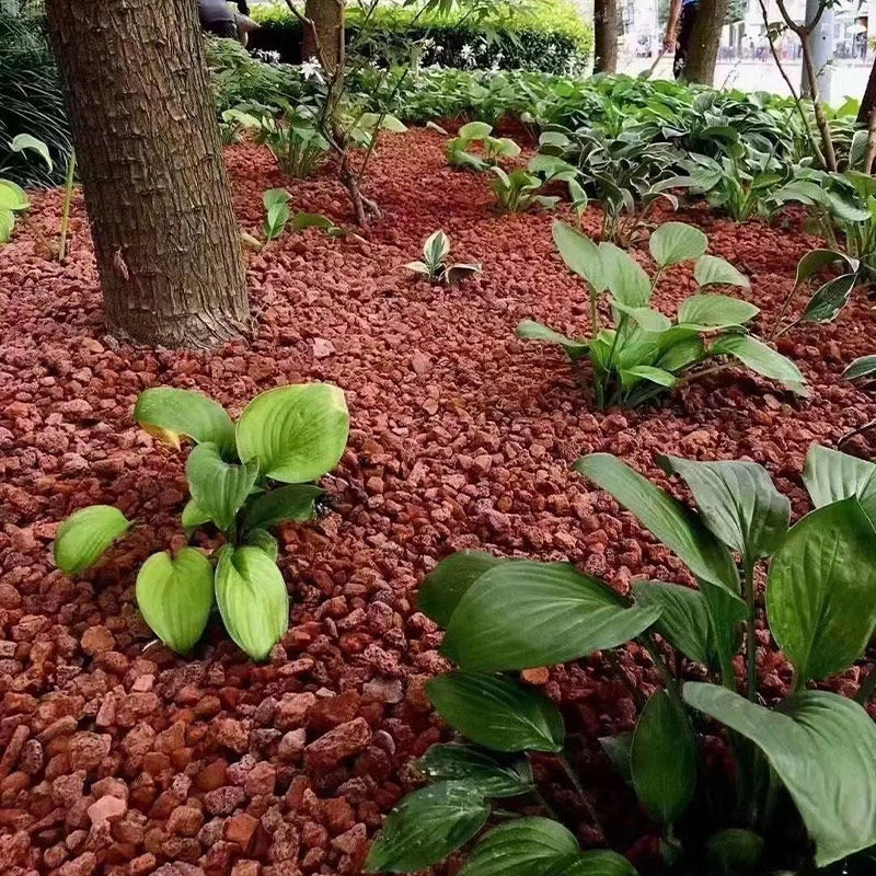 彩色有机覆盖物火山石松树皮造景园林绿化庭院花池树穴铺面土壤