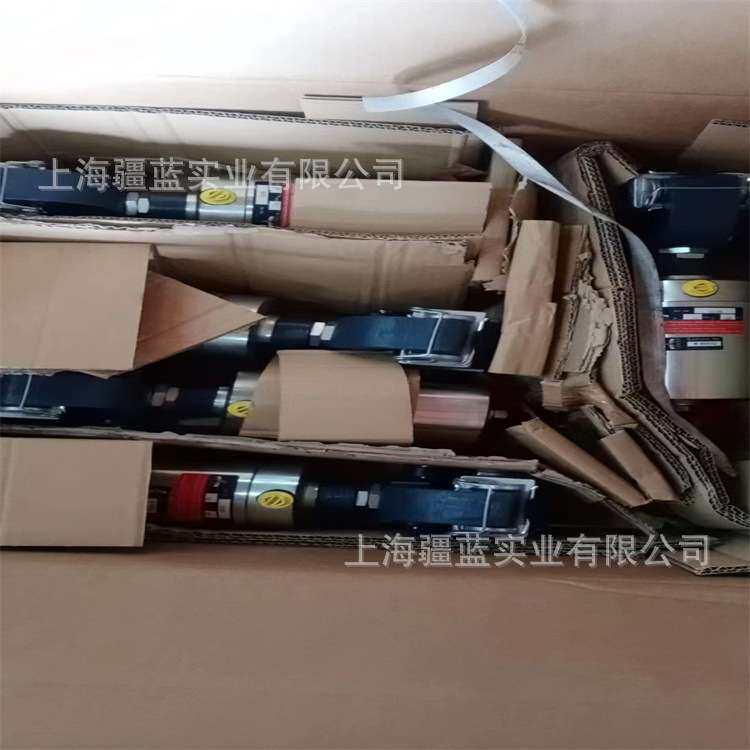 德国超越RINGSPANN离合器RINGSPANN制动器RINGSPANN刹车片抱闸