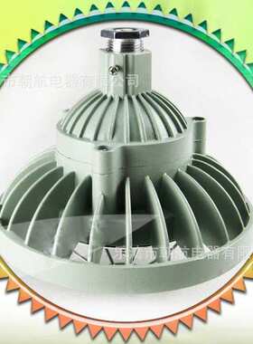 110AW 24V/36VLED 防爆灯led 30W 加油站 仓库 防腐灯外壳EXD