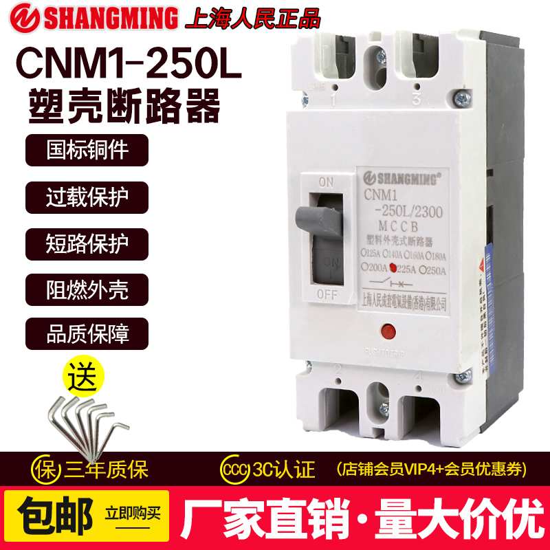 2P塑壳断路器RCM1-250A 200A空气开关160A大功率单相220V