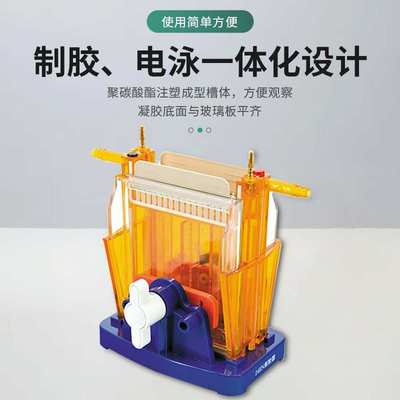 南北仪器 双垂直电泳仪DYCZ-24A/B实验室蛋白凝胶电泳槽北京六一