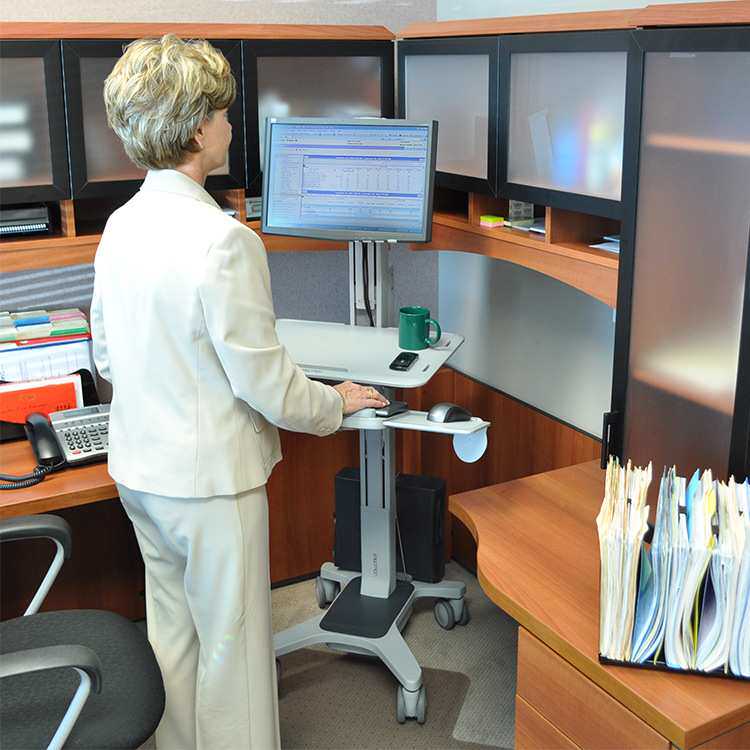 爱格升Ergotron 24-198-055台式电脑移动推车一体机升降办公桌