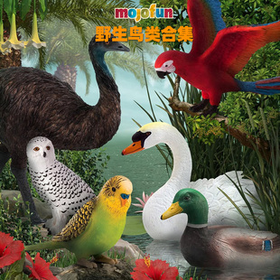 英國MOJOFUN仿真動物模型 火烈鳥貓頭鷹山雀麻雀火雞海雕 鳥類