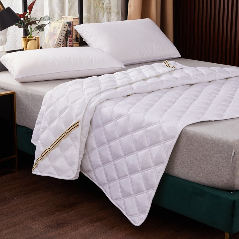 全棉床垫软垫家用保护垫防滑夏季薄款垫褥子垫被单双人可水洗折叠,床上用品,床垫/床褥/床护垫/榻榻米床垫,淘宝优惠券,粉丝福利购,淘宝优惠卷