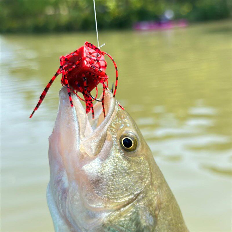 血块色2.8克3.8克重,鲈鱼鳜鱼鳟鱼黑坑太阳鱼缓沉无铅路亚骰子饵,户外/登山/野营/旅行用品,路亚饵,淘宝优惠券,粉丝福利购,淘宝优惠卷