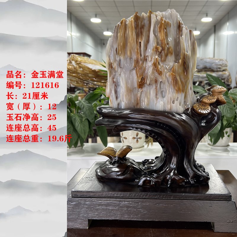 缅甸树化玉天然树化石木化玉奇石木化石家居客厅书房博古摆件