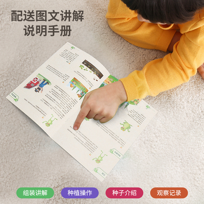 种植儿童过家家农场种菜养房科学小实验根部生长观察