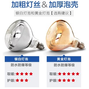 小巧实用鼎赫 两灯浴室洗澡取暖器二灯灯挂壁式