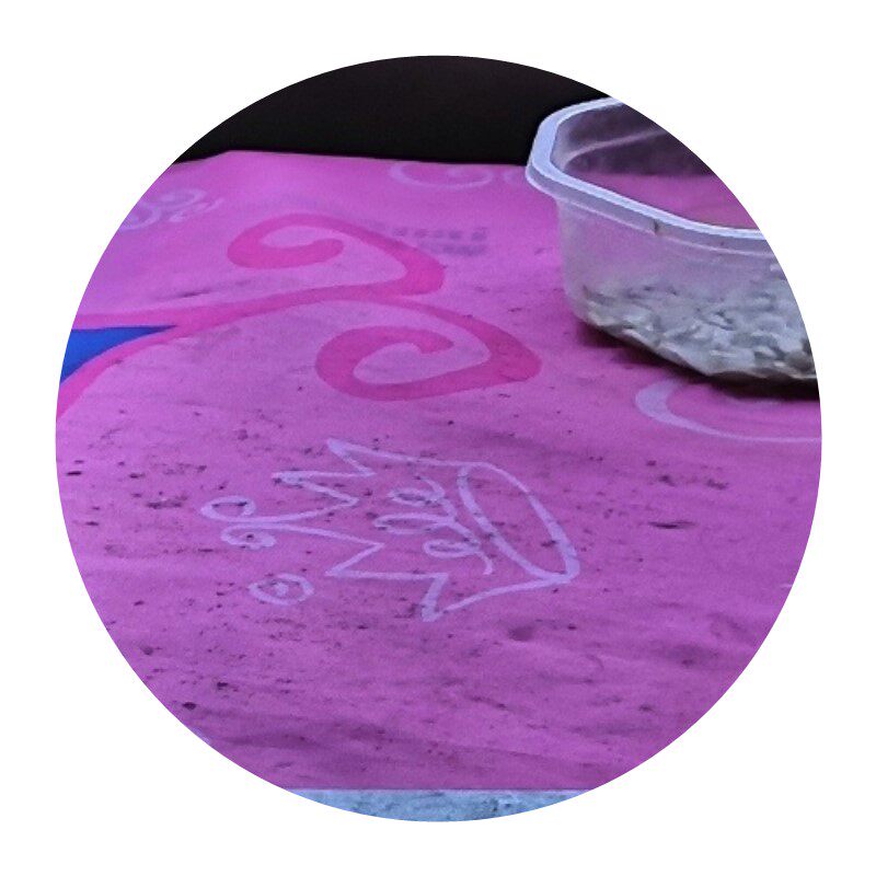 实用蒙皮工具越胡蒙皮工具京胡蒙皮工具中胡曲胡二胡蒙皮架子