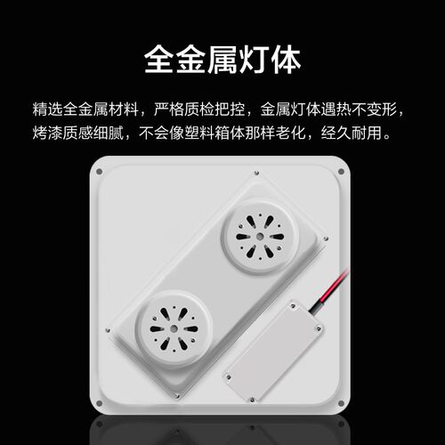灯暖浴霸集成吊顶铝扣板两灯二取暖灯泡浴室