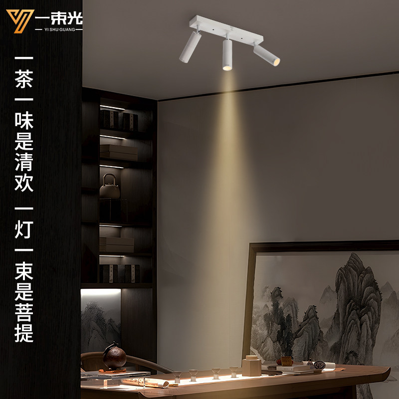 一束光聚光射灯3度小角度三头明装客厅茶室博物馆氛围餐饮led多头,家装灯饰光源,明装射灯,淘宝优惠券,粉丝福利购,淘宝优惠卷
