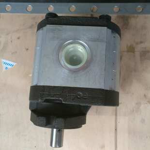 意大利RONZIO罗茨02ZMCG04S434R全系齿轮泵 齿轮油泵 液压马达