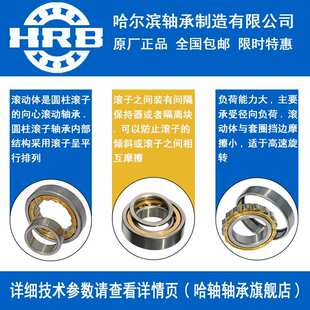 RYS 哈轴传动 NJ NU N NUP 416 417 418 419 420 M EM 圆柱滚子