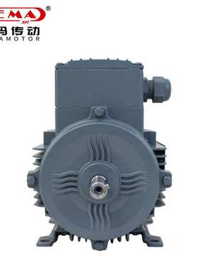 BEVI三相异步电机3EL090L4D-PD-AA-C96电动马达