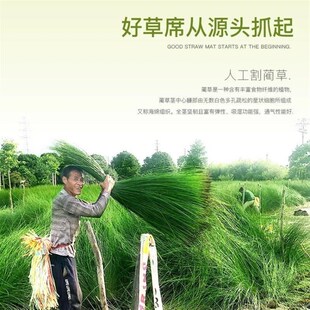 蔺草席折叠1.8m2.0X2.2双人床凉席子1.5米草席芦苇席草编1.3夏1.4