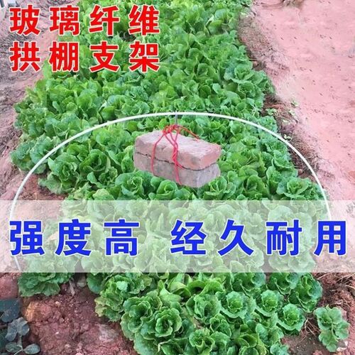 支架菜园四季玻璃纤维杆大棚菜农用地可高弹力杆子拱棚瓜藤攀爬_