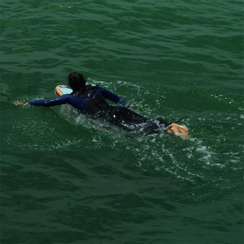 冲浪充气趴板初学者滑水板成人儿童学游泳桨板手脚划水板浮板