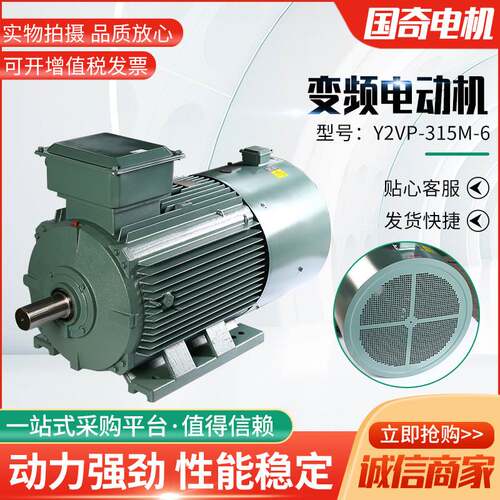 变频电动机Y2VP-315M-6-90KW变频电机纯铜变频电动机