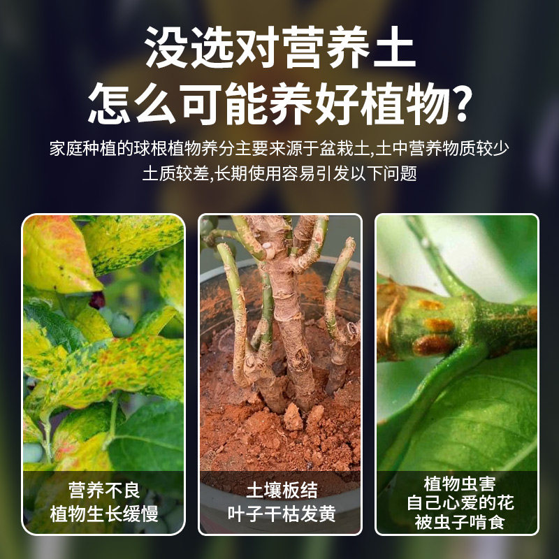球根专用土种球植物营养土育苗基质郁金香洋水仙通用型花土壤肥料,鲜花速递/花卉仿真/绿植园艺,介质/营养土,淘宝优惠券,粉丝福利购,淘宝优惠卷