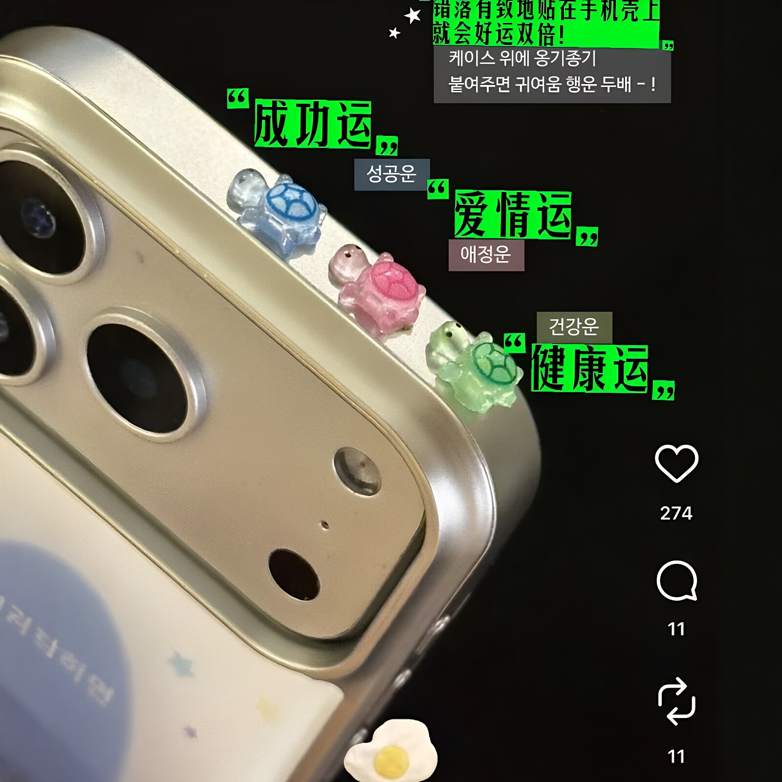 韩国超火！彩色幸运小乌龟